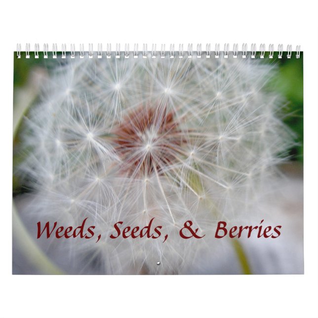Kalender - Saatgut und Beeren (Titelbild)