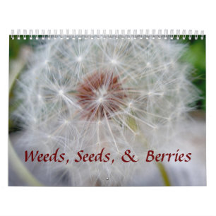 Kalender - Saatgut und Beeren
