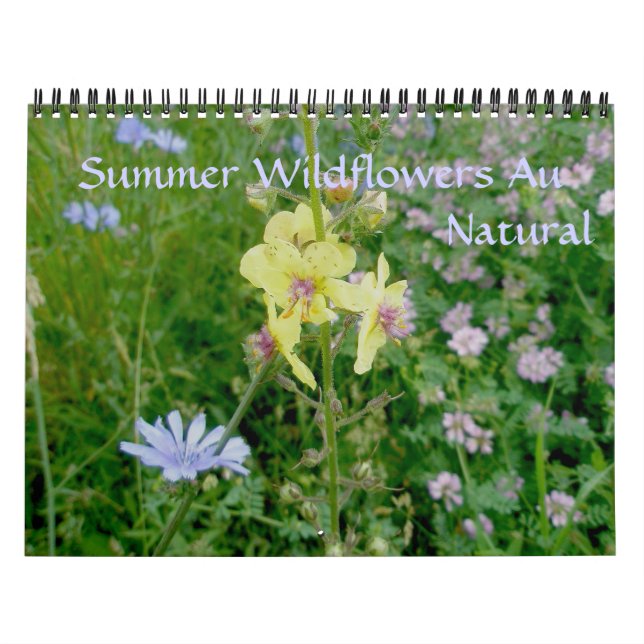 Kalender - Sommerliche Wildblumen (Titelbild)