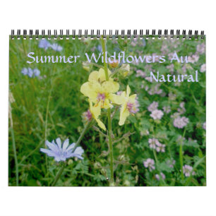 Kalender - Sommerliche Wildblumen