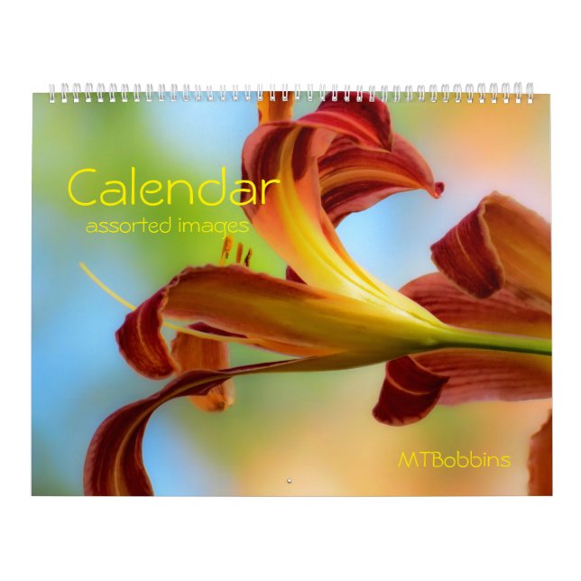 Kalender - sortierte Bilder - mit großen Zahlen (Titelbild)