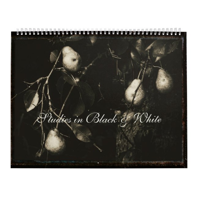 Kalender ~ Studien in Schwarz und Weiß (Titelbild)