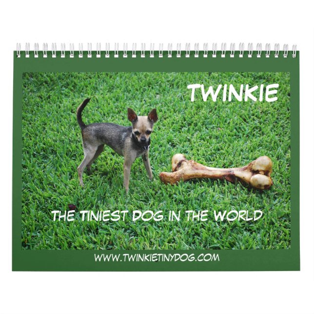 KALENDER TWINKIES (Titelbild)