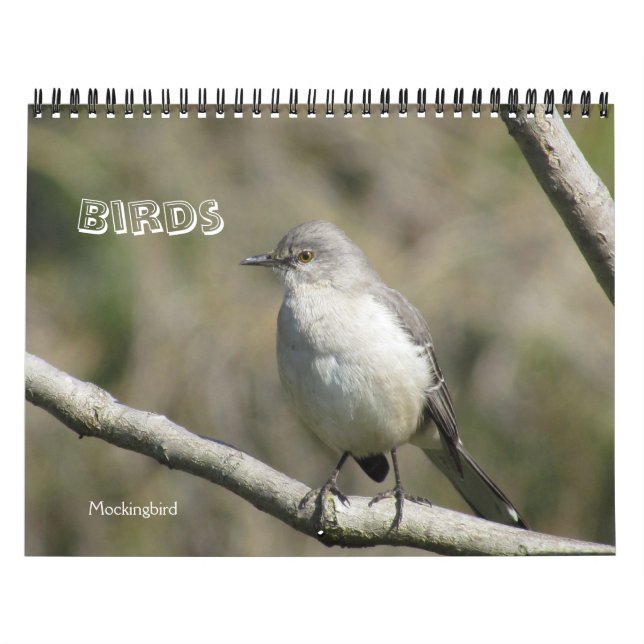 Kalender - Vögel (Titelbild)