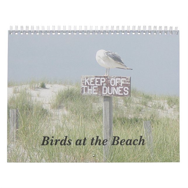 Kalender - Vögel am Strand (Titelbild)