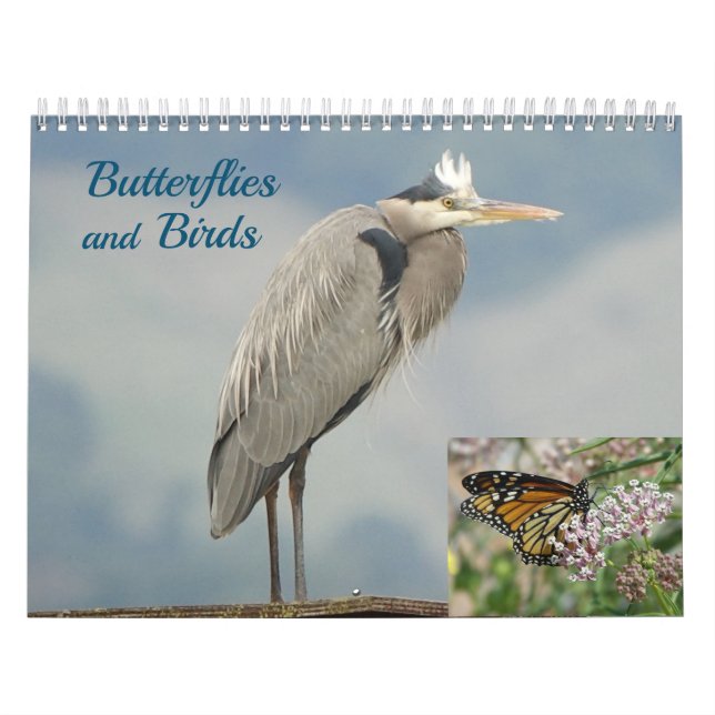 Kalender - Vögel und Schmetterlinge (Titelbild)