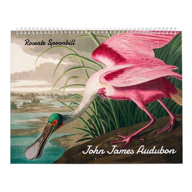 Kalender von John James Audubon (Titelbild)
