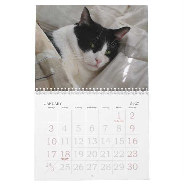 Kalender von Momenten (Jan 2027)
