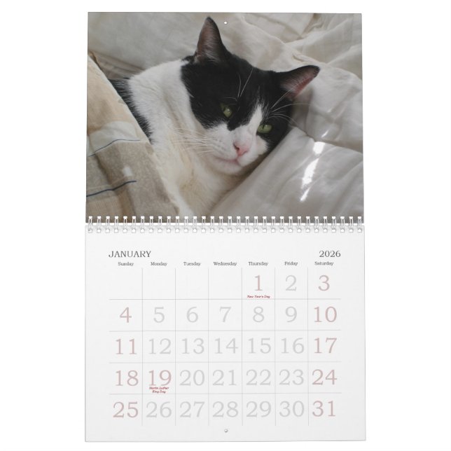 Kalender von Momenten (Jan 2026)