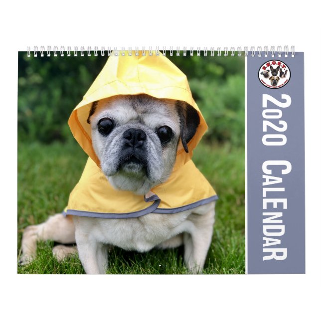 KALENDER VON SNORT RESCUE 2020 (Titelbild)