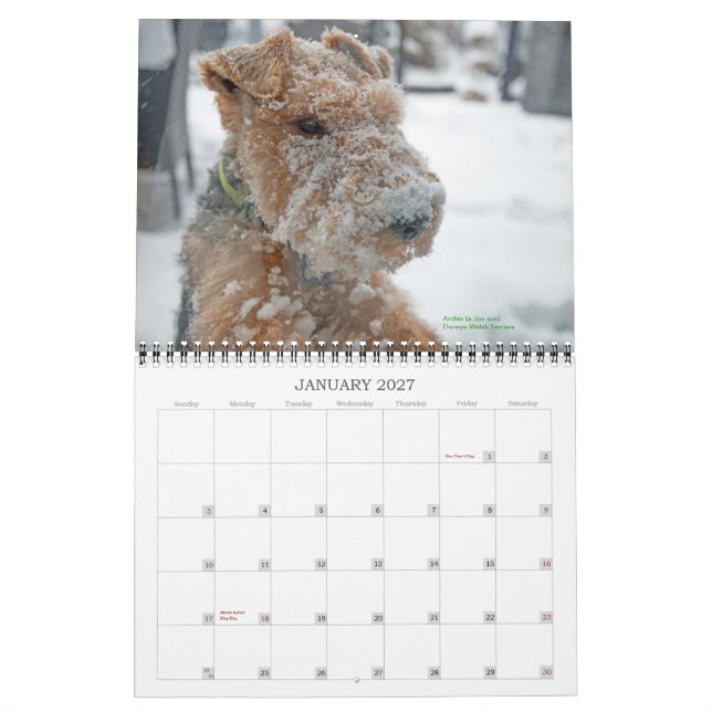 Kalender Walisers Terrier 2015 durch Darwyn (Jan 2027)