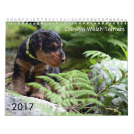 Kalender Walisers Terrier 2017 durch Darwyn