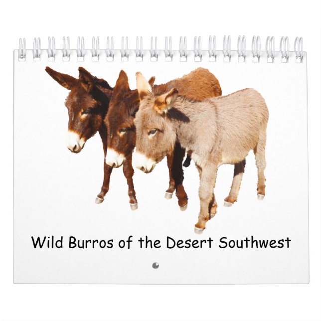 Kalender, wild lebende Tiere, wilde Burros, Esel Kalender (Titelbild)