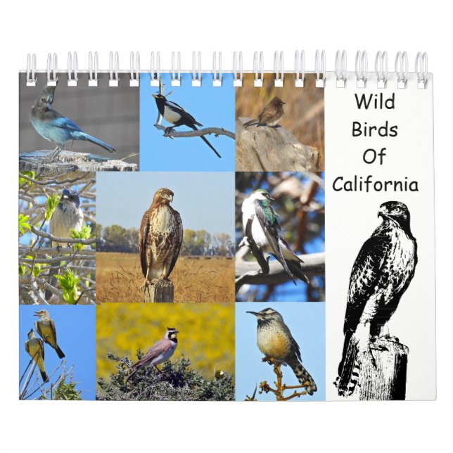Kalender, wild lebende Tiere, wilde Vögel von Kalender (Titelbild)