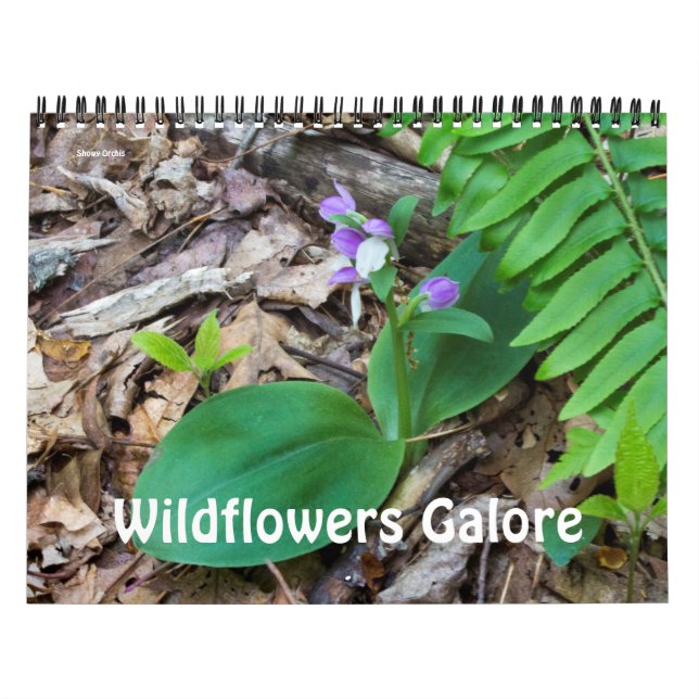Kalender ~ Wildblumen Galore (Titelbild)