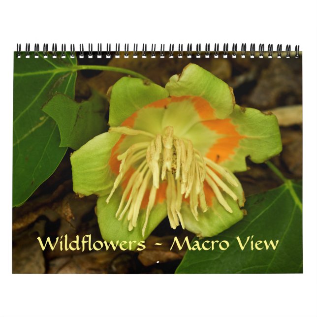 Kalender - Wildblumen - Makroansicht (Titelbild)