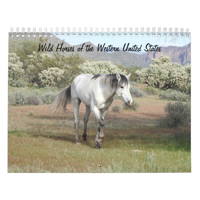 Kalender, Wilde Pferde des Westerns Vereinte Staat Kalender (Titelbild)