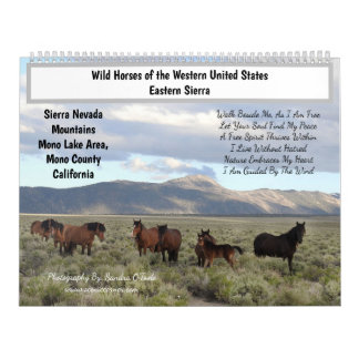 Kalender, Wilde Pferde, Eastern Sierra, Kalifornie Kalender