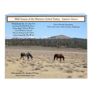Kalender, Wildpferde, Eastern Sierra, Kalifornien Kalender