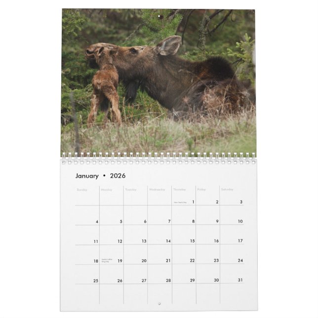 Kalender Yellowstone 2010 (Jan 2026)