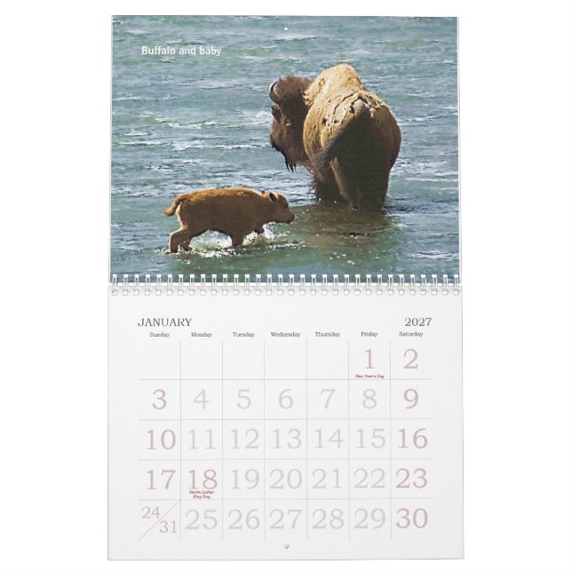 Kalender Yellowstone-Tier-2008 (Jan 2027)