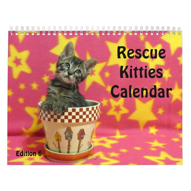 Kalender zur Rettung der Katze - Ausgabe 6 (Titelbild)