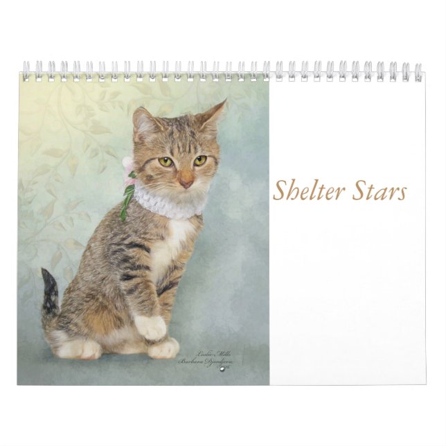 Kalenderkunst, die Schutztiere kennzeichnet Kalender (Titelbild)