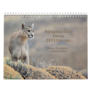 Kalenderpumpen 2023 des Chilen Kalender