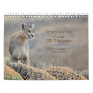 Kalenderpumpen 2023 des Chilen Kalender