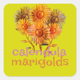 Kalendula marigolds Quadrat Quadratischer Aufkleber