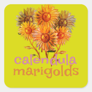 Kalendula marigolds Quadrat Quadratischer Aufkleber