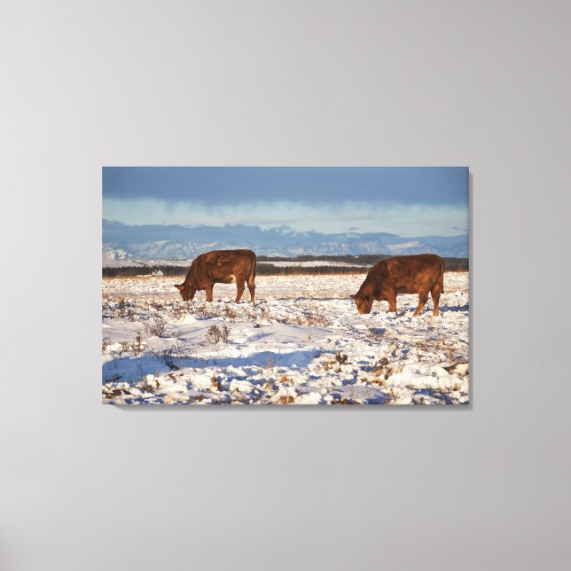 Kalgary, Alberta, Canada 2 Leinwanddruck (Vorderseite)