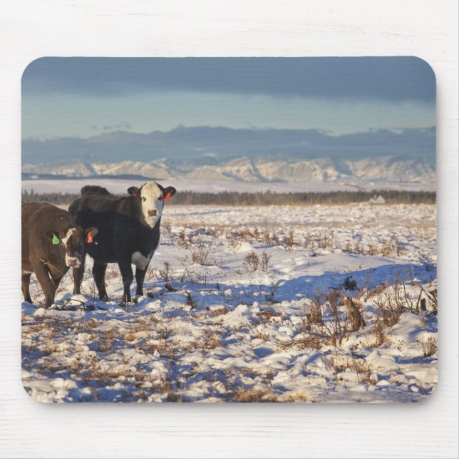 Kalgary, Alberta, Canada Mousepad (Vorne)