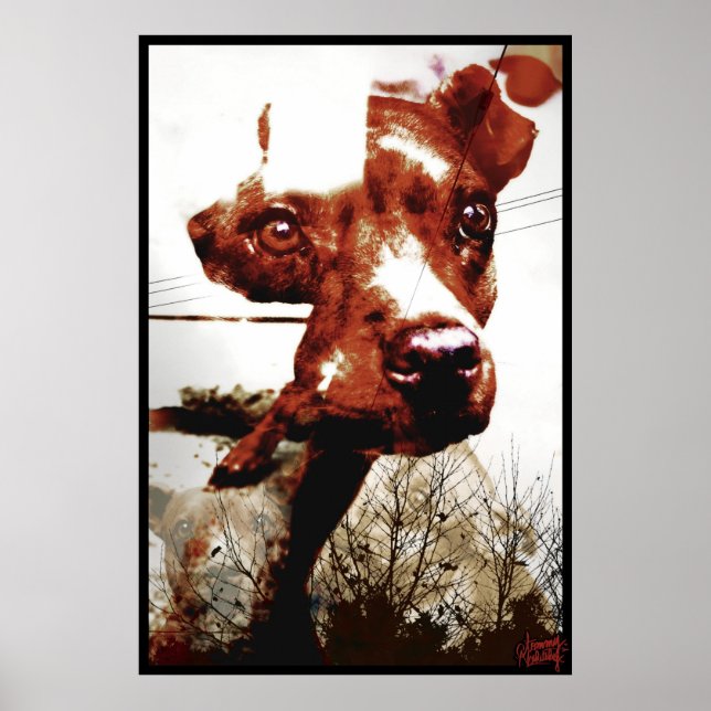 Kali Doggy Poster (Vorne)