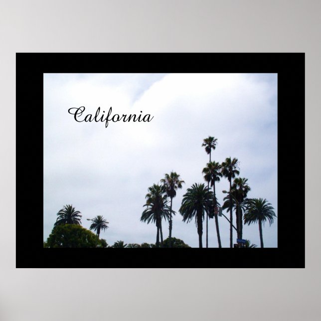 KALIFORNIA PALMS-Plakat Poster (Vorne)