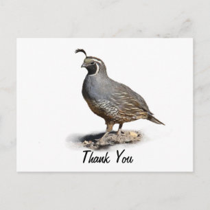 KALIFORNIA QUAIL - DANKE POSTKARTE
