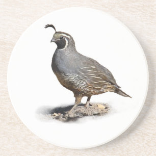 KALIFORNIA QUAIL SANDSTEIN UNTERSETZER