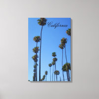 KALIFORNIA TALL PALM BÄUME CANVAS DRUCKEN