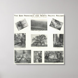 Kalifornien 4 leinwanddruck