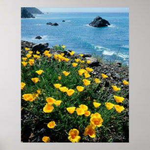 Kalifornien, Big Sur Küste, Central Coast 1 Poster