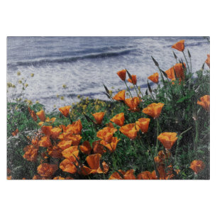 Kalifornien, Big Sur Küste, Kalifornischer Mohn Schneidebrett