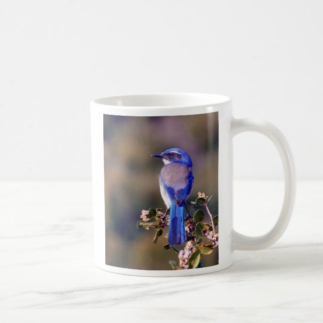 Kalifornien-Blau Kaffeetasse (Rechts)