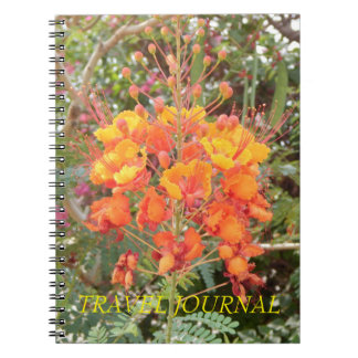 KALIFORNIEN DESERT BLUME #1 REISEVERKEHR NOTIZBLOCK