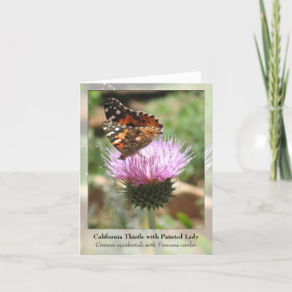 Kalifornien-Distel mit gemalter Dame - Notecard Karte