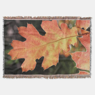 Kalifornien, ein herbstlich gefärbtes Eichenblatt Decke