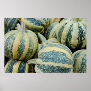 Kalifornien. Fall Ernte in Kalifornien Poster