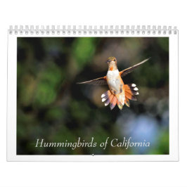 Kalifornien-Hummingvögel 2024-Kalender Kalender