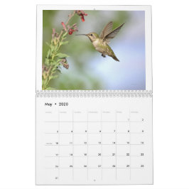 Kalifornien-Hummingvögel 2024-Kalender Kalender