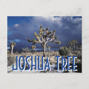 Kalifornien, Joshua Tree National Park Postkarte
