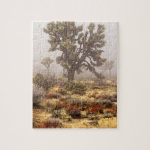 Kalifornien: Joshua-Tree-Nationalmonument,
